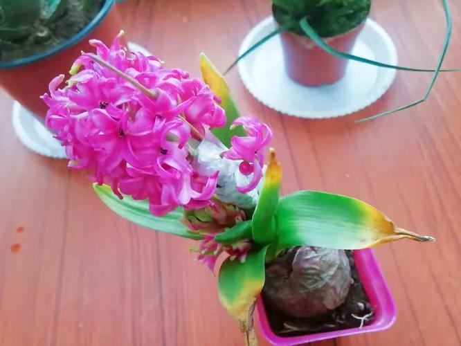 灵动蜗牛，完美绽放——翟镇一中八年级蜗牛班缔造完美教室纪实