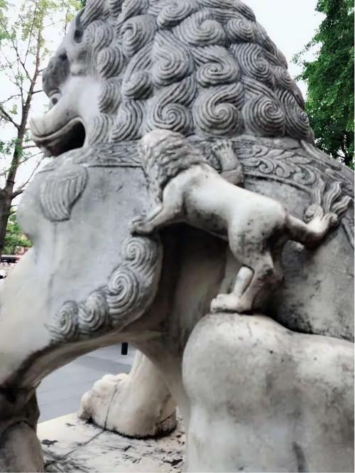 牵一只灵动的蜗牛散步——返璞归真，守护孩子的鲜活本真