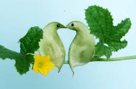 菜叶上的小世界 大爷手作灵动蜗牛，把寻常日子过成诗